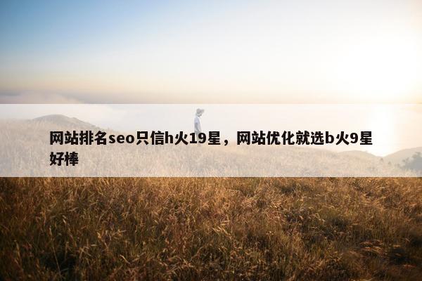 网站排名seo只信h火19星，网站优化就选b火9星好棒