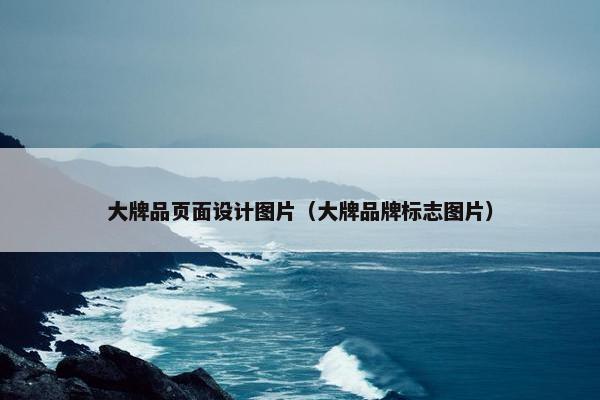 大牌品页面设计图片（大牌品牌标志图片）