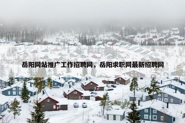岳阳网站推广工作招聘网，岳阳求职网最新招聘网