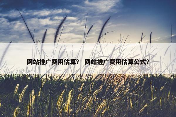 网站推广费用估算？ 网站推广费用估算公式？