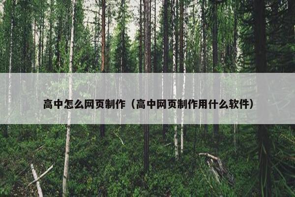 高中怎么网页制作（高中网页制作用什么软件）