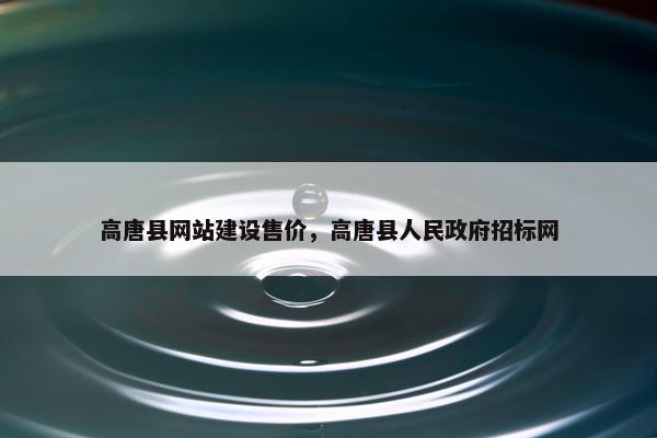高唐县网站建设售价，高唐县人民政府招标网
