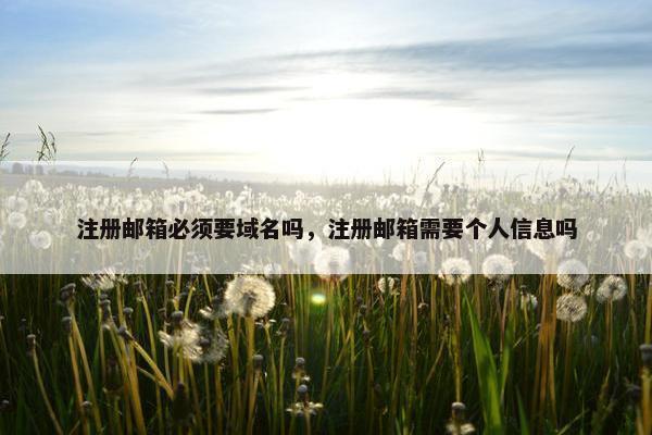 注册邮箱必须要域名吗，注册邮箱需要个人信息吗