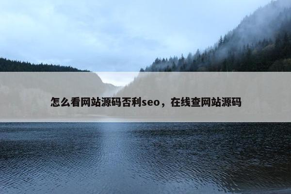 怎么看网站源码否利seo，在线查网站源码