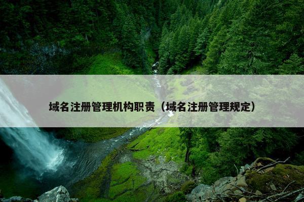 域名注册管理机构职责（域名注册管理规定）