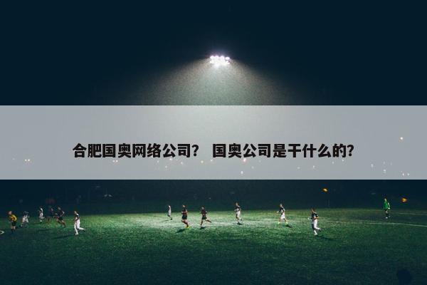 合肥国奥网络公司？ 国奥公司是干什么的？