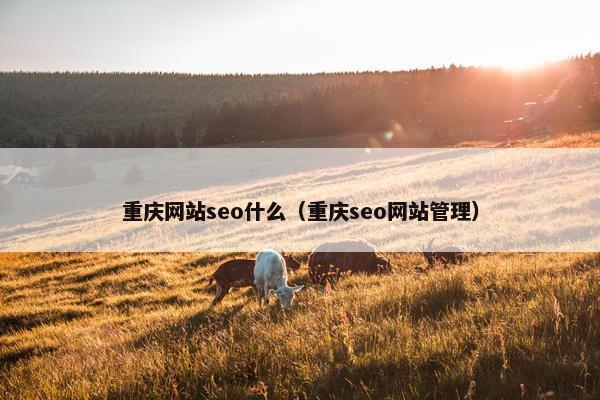 重庆网站seo什么（重庆seo网站管理）