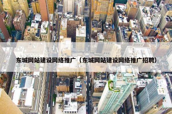 东城网站建设网络推广（东城网站建设网络推广招聘）
