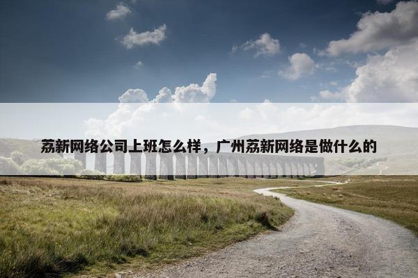荔新网络公司上班怎么样，广州荔新网络是做什么的