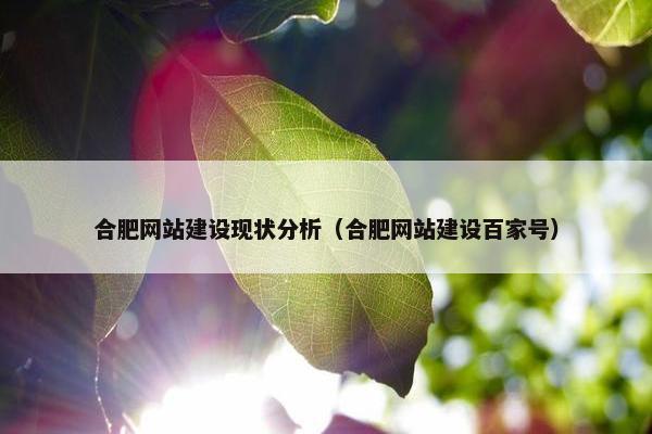 合肥网站建设现状分析（合肥网站建设百家号）
