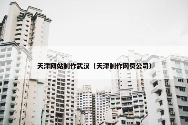 天津网站制作武汉（天津制作网页公司）