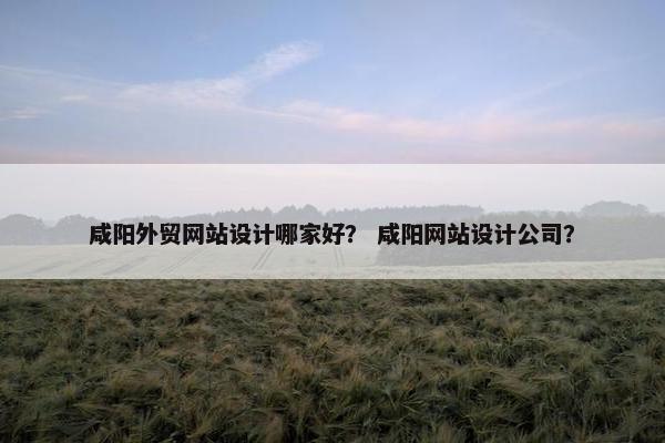 咸阳外贸网站设计哪家好？ 咸阳网站设计公司？