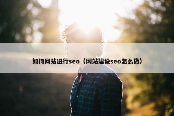 如何网站进行seo（网站建设seo怎么做）