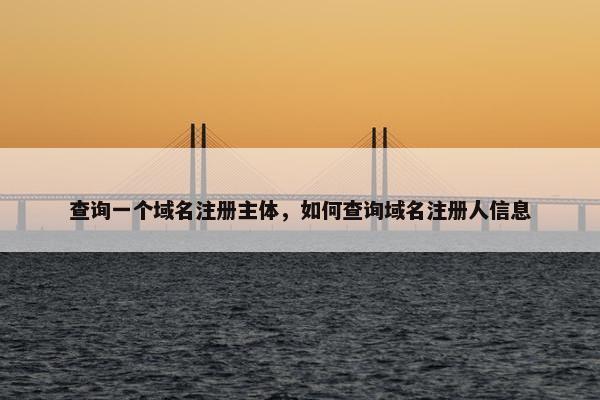 查询一个域名注册主体，如何查询域名注册人信息