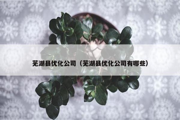 芜湖县优化公司（芜湖县优化公司有哪些）