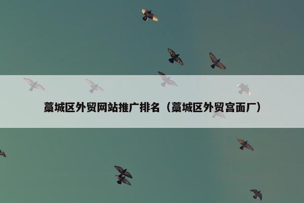藁城区外贸网站推广排名（藁城区外贸宫面厂）