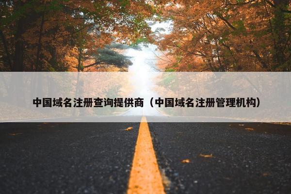 中国域名注册查询提供商（中国域名注册管理机构）