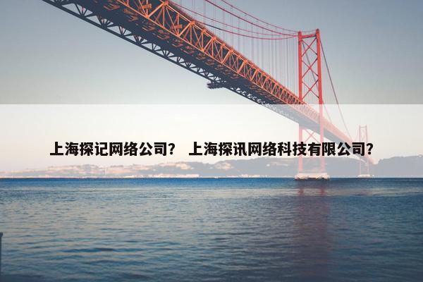 上海探记网络公司？ 上海探讯网络科技有限公司？
