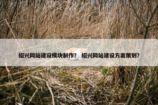 绍兴网站建设模块制作？ 绍兴网站建设方案策划？