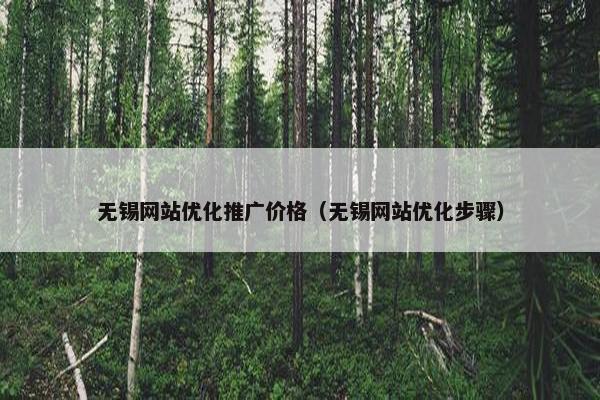 无锡网站优化推广价格（无锡网站优化步骤）