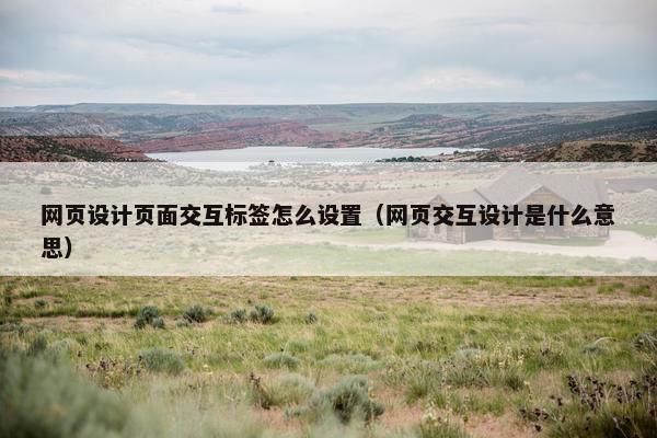 网页设计页面交互标签怎么设置（网页交互设计是什么意思）