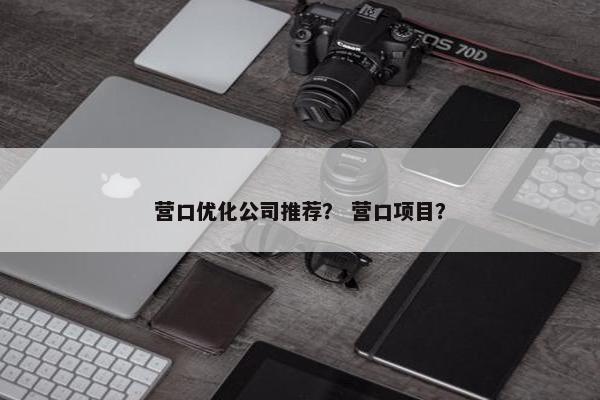 营口优化公司推荐？ 营口项目？