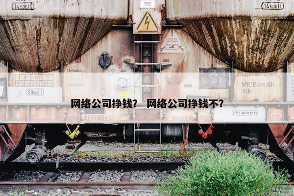网络公司挣钱？ 网络公司挣钱不？