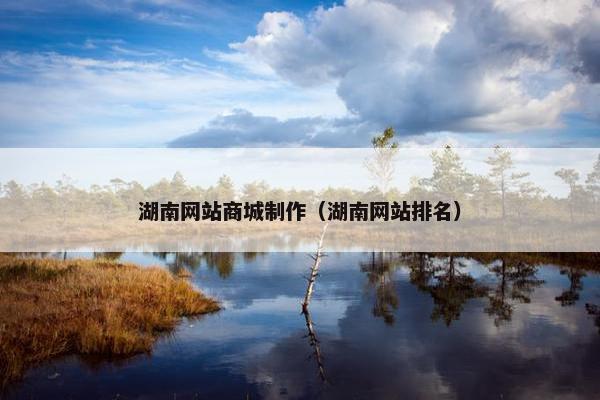 湖南网站商城制作（湖南网站排名）