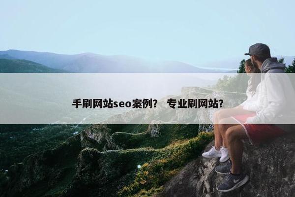 手刷网站seo案例？ 专业刷网站？