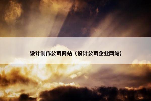 设计制作公司网站（设计公司企业网站）