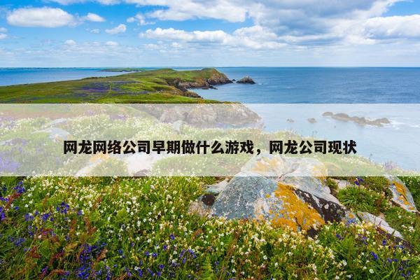 网龙网络公司早期做什么游戏，网龙公司现状