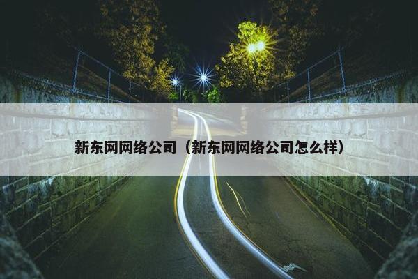 新东网网络公司（新东网网络公司怎么样）