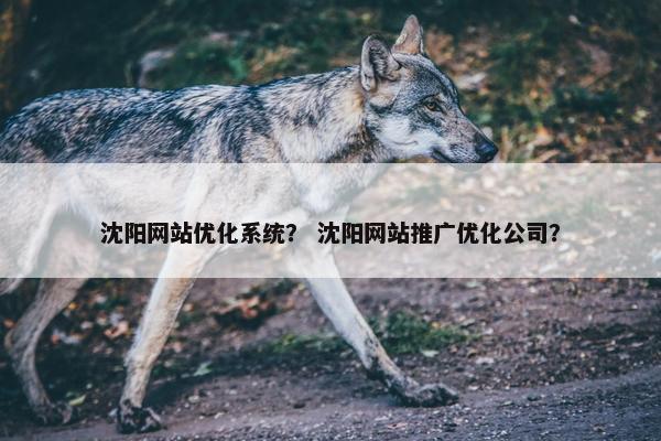 沈阳网站优化系统？ 沈阳网站推广优化公司？