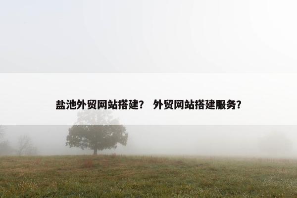 盐池外贸网站搭建？ 外贸网站搭建服务？