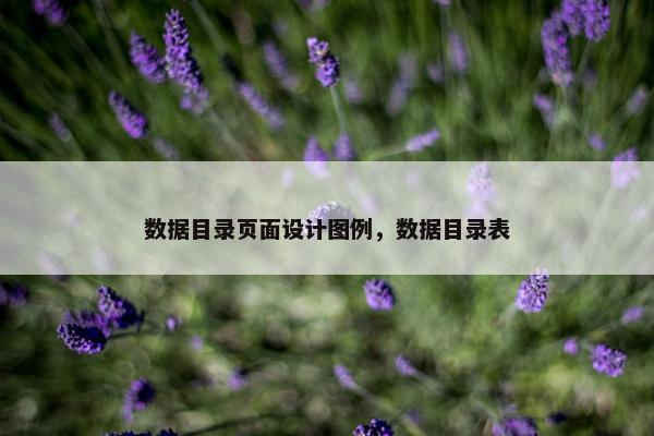 数据目录页面设计图例，数据目录表