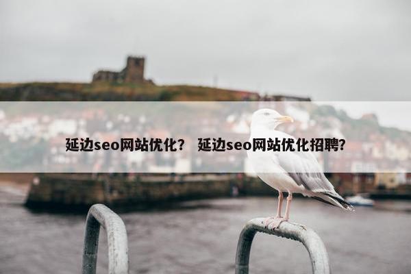 延边seo网站优化？ 延边seo网站优化招聘？