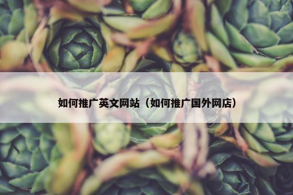 如何推广英文网站（如何推广国外网店）