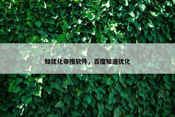 知优化帝搜软件，百度知道优化