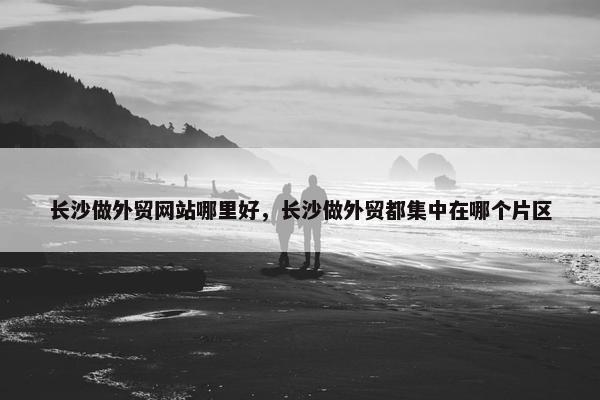 长沙做外贸网站哪里好，长沙做外贸都集中在哪个片区