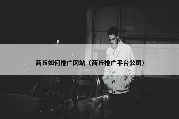 商丘如何推广网站（商丘推广平台公司）