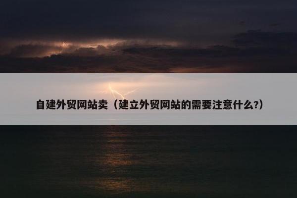 自建外贸网站卖（建立外贸网站的需要注意什么?）