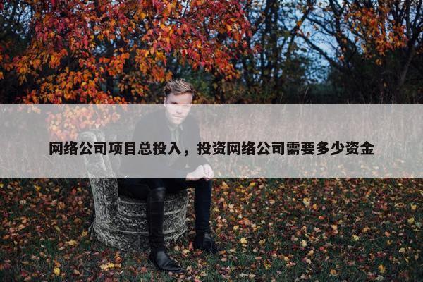 网络公司项目总投入，投资网络公司需要多少资金