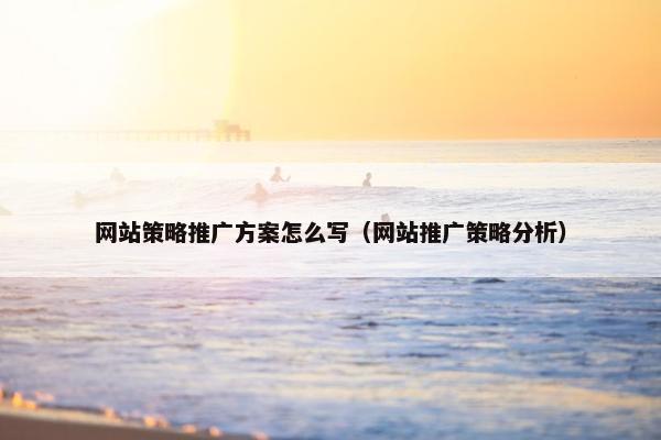 网站策略推广方案怎么写（网站推广策略分析）
