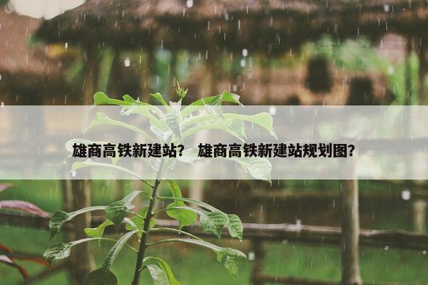 雄商高铁新建站？ 雄商高铁新建站规划图？
