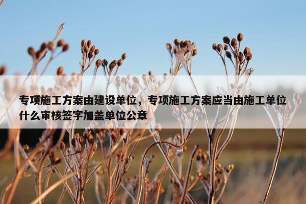 专项施工方案由建设单位，专项施工方案应当由施工单位什么审核签字加盖单位公章