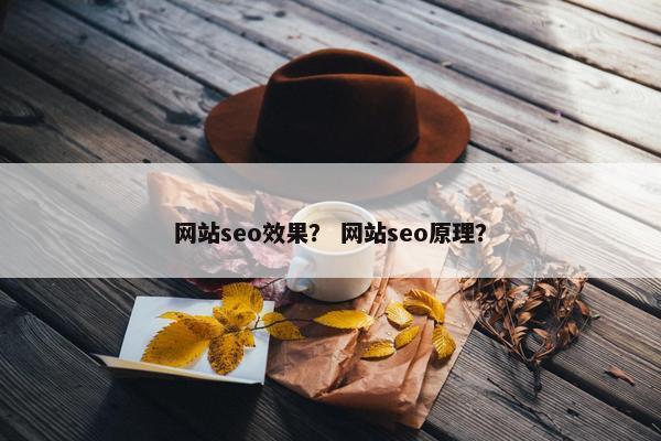 网站seo效果？ 网站seo原理？