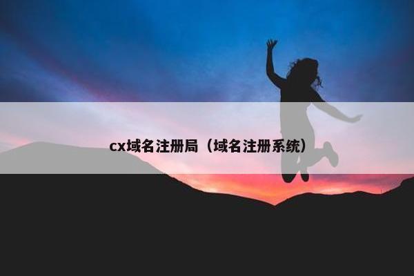 cx域名注册局（域名注册系统）