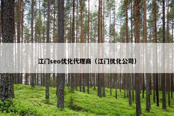 江门seo优化代理商（江门优化公司）