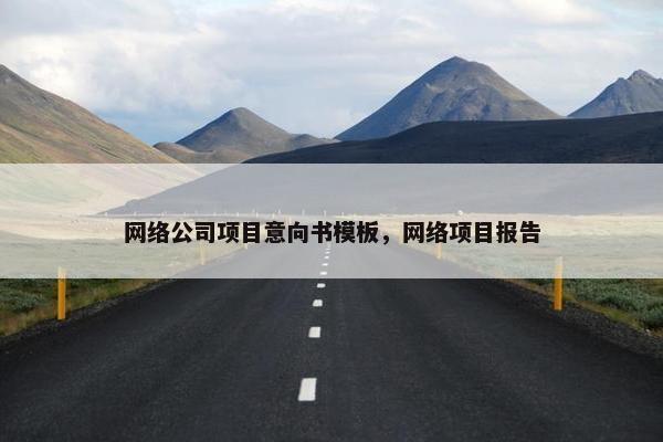 网络公司项目意向书模板，网络项目报告