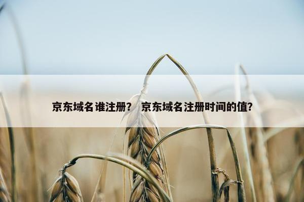 京东域名谁注册？ 京东域名注册时间的值？